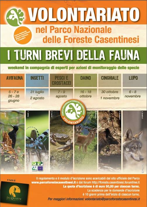 Turni estivi di volontariato nel Parco Nazionale delle Foreste Casentinesi